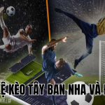 tỷ lệ kèo tây ban nha và đức